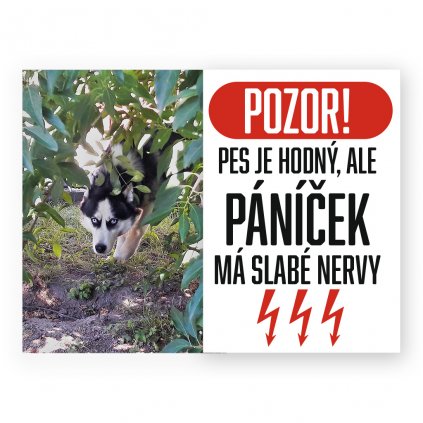 panicek nerby