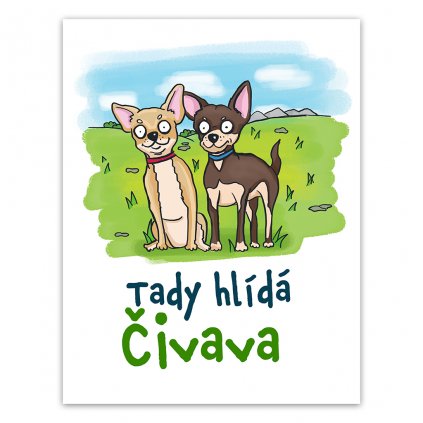 desticky mockup civava