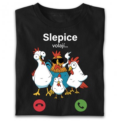 slepice volaji