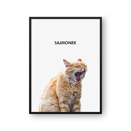sajmonek
