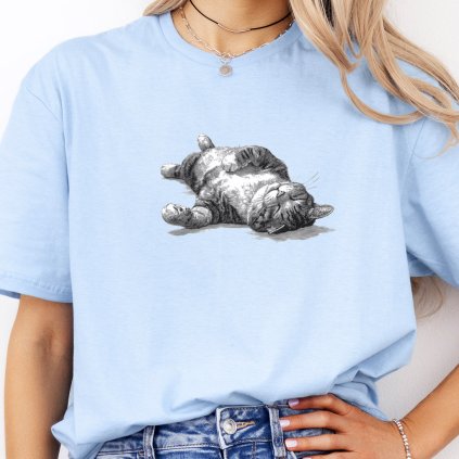 renarz. a cat sleeping on his back back feet in foreground comi 7e3acd44 5c3d 4efd b8b3 2d870eef3c37 removebg blue original