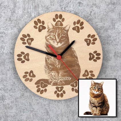 cat 2