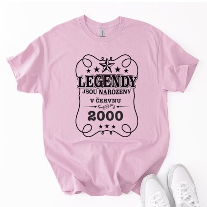 ads dudelegendy light pink kopie original