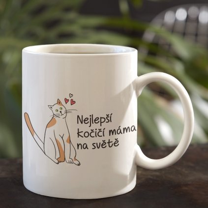 nejlepší kočičí