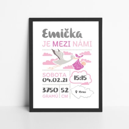 Obraz k narození miminka - Čáp (holčička)