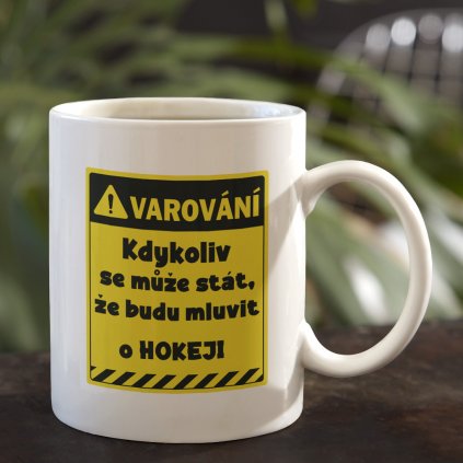 HOKEJ