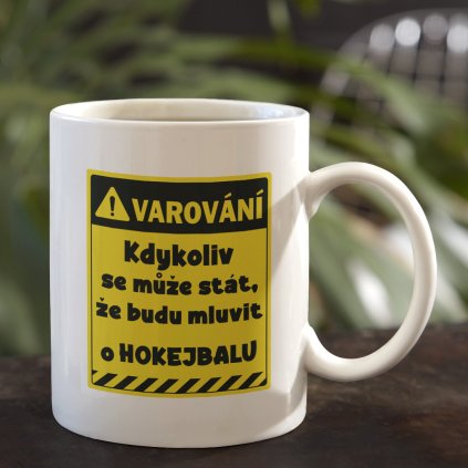 HOKEJBAL
