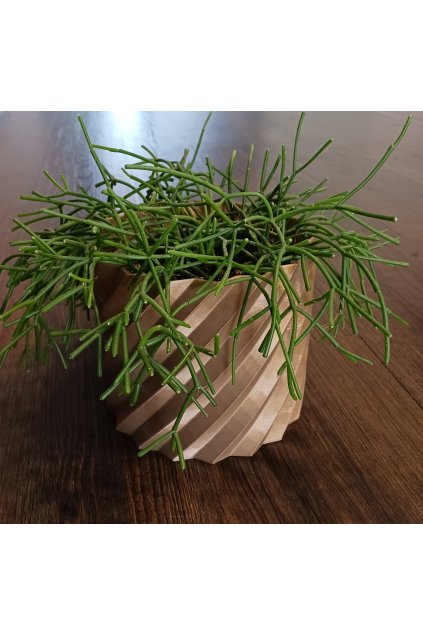 Truhlík,obal na květiny pr. 12cm