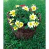 Wicker packaging - round flowerpot diameter 30 cm with foil