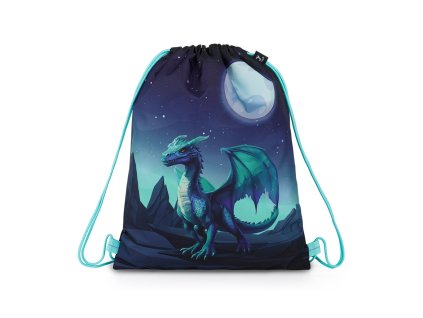 Sportovní vak (gymsack) Topgal RAMY 26056 – Drak