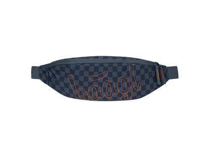 Ledvinka Snap SKA modrá Baagl