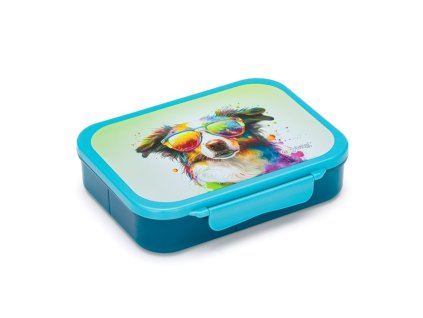 Box na svačinu Pes s přihrádkami