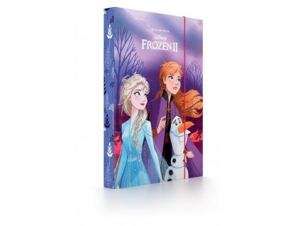 Box na sešity A5 Frozen