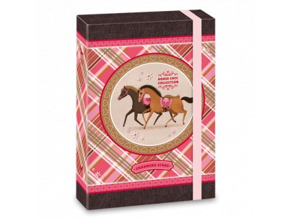 Ars Una Box na sešity Charming Stars koně A5