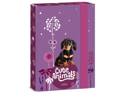 Ars Una box na sešity A5 – Cute Animals – štěně | Roztomilá ochrana sešitů