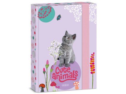 Box na sešity A5 Ars Una Cute Animals – kotě