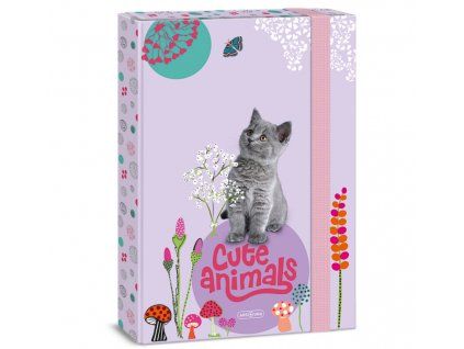 Box na sešity A4 Ars Una Cute Animals Kotě