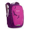 Dětský batoh Boll Falcon 20 Boysenberry 20 l
