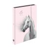 Box na sešity A5 Jumbo Kůň Romantic Horse Girl