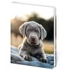 Památník A5 Stil Pup 13 × 18 cm