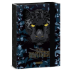 Box na sešity A5 Ars Una Black Panther 26