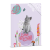 Složka na sešity A4 Ars Una Cute Animals – kotě