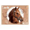 obal pp s patentkou a4 lovely horse