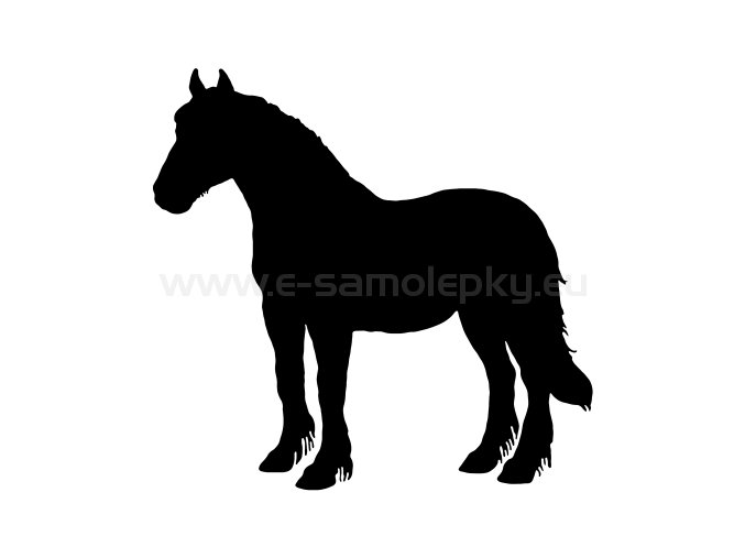 Samolepka - Kůň 40