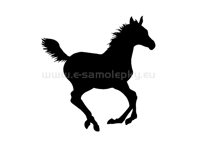 Samolepka - Kůň 50