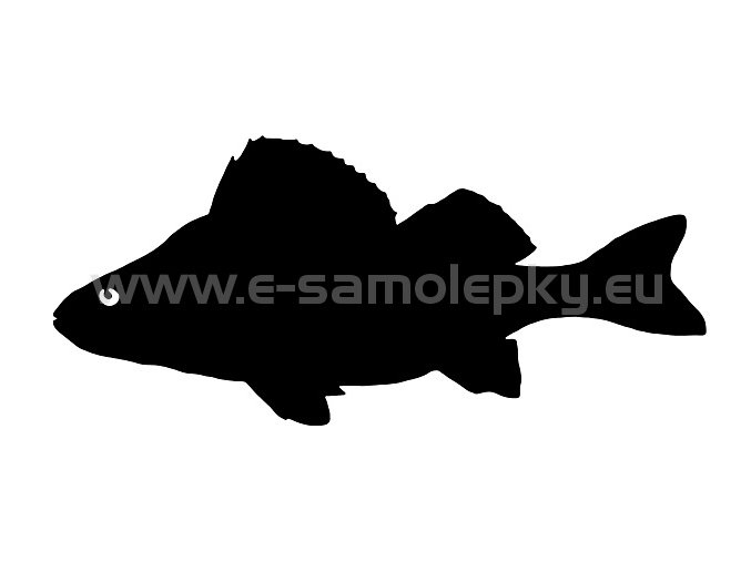 Samolepka - Okoun