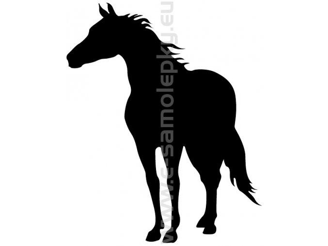Samolepka - Kůň 06