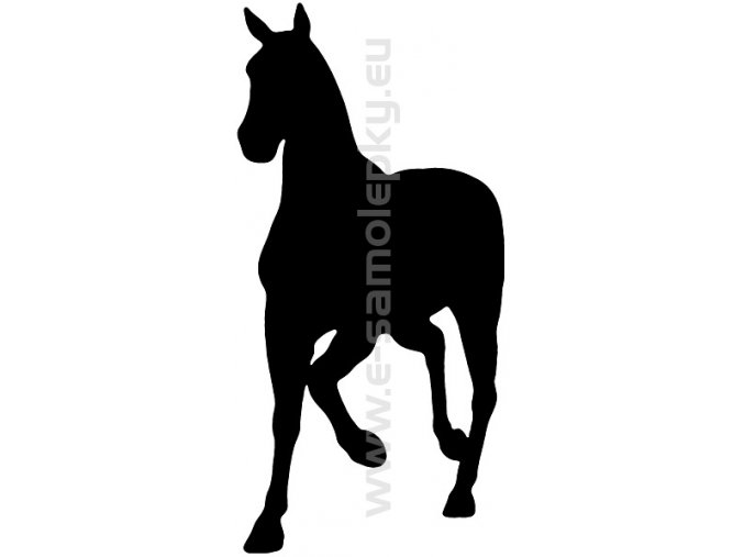 Samolepka - Kůň 10