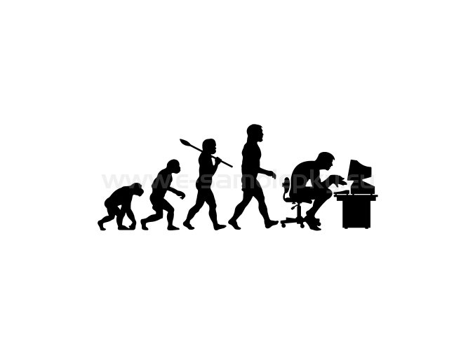 it technik evolce