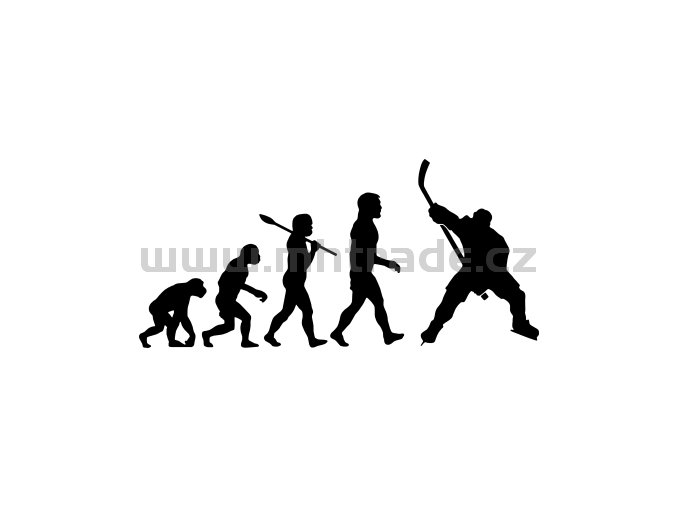 Samolepka - Hokejista 12 evoluce