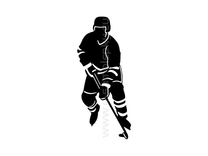 Samolepka - Hokejista 11