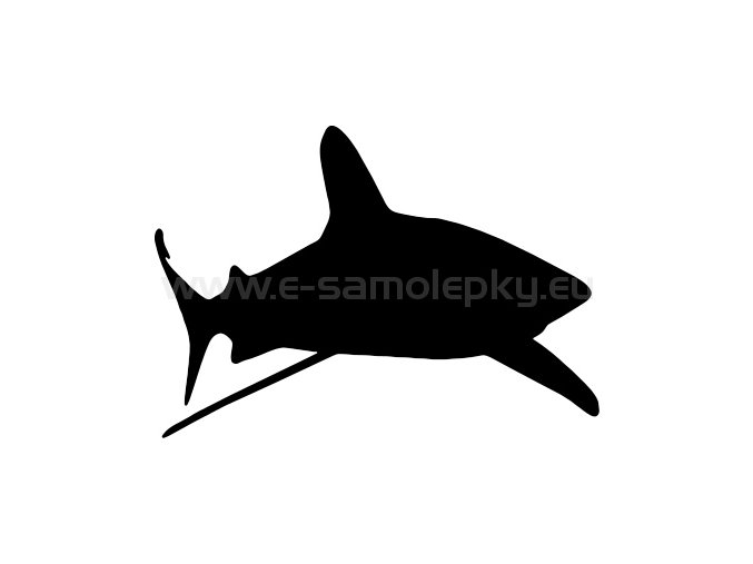 Samolepka - Žralok 02