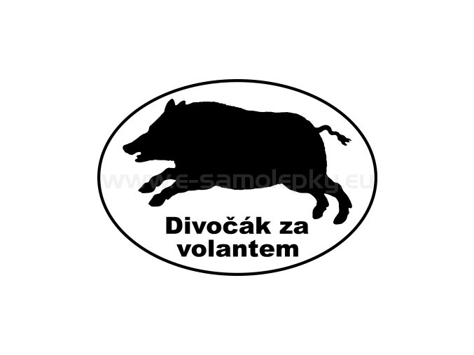 Samolepka - Divočák za volantem