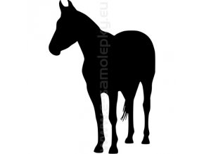 Samolepka - Kůň 33