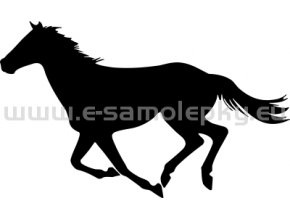 Samolepka - Kůň 55