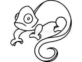 Samolepka - Chameleon