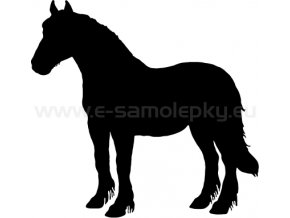 Samolepka - Kůň 40