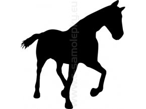 Samolepka - Kůň 41
