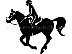 Samolepka - Kůň 49