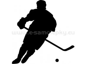 Samolepka - Hokejbalista