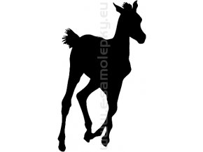 Samolepka - Kůň 51