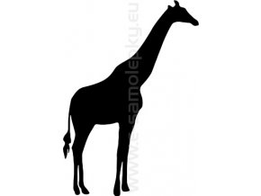 Samolepka - Žirafa