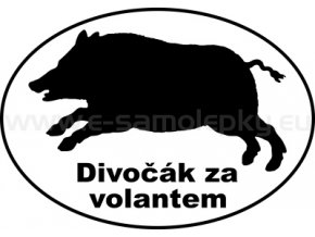 Samolepka - Divočák za volantem