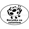 Samolepka - Beruška za volantem 02