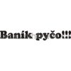 Samolepka - Baník pyčo!!!