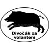 Samolepka - Divočák za volantem